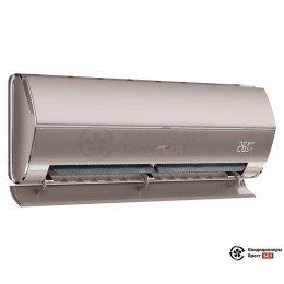 Casarte СAS25MW1/R3-G/1U25MW1/R3