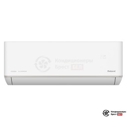 Roland RDI-WZ09HSS/N2